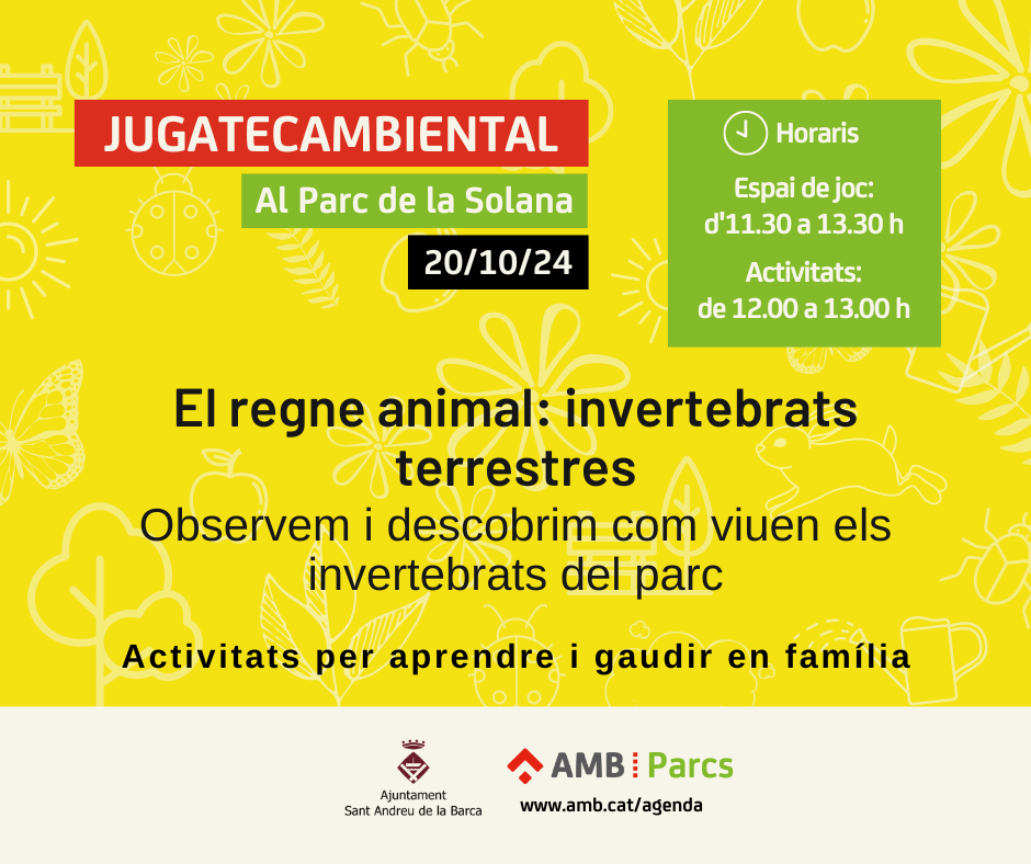 Jugateca Ambiental: El regne animal: invertebrats terrestres