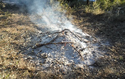 Comença la prohibició de fer foc al bosc
